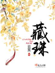 藏珠纳玉TxT