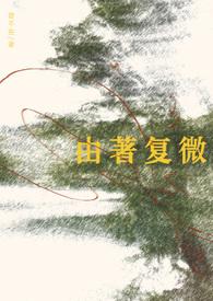 由著复微by乱世音讲的什么