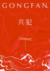 共犯双子类似集