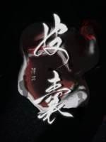 皮囊歌曲
