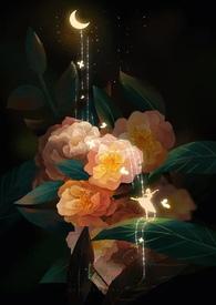 清欢渡 全文阅读