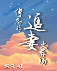 傅总的追妻火葬场傅