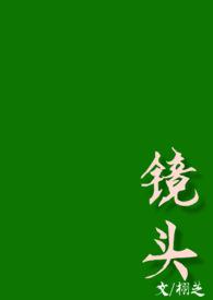镜头校园栩芝完结