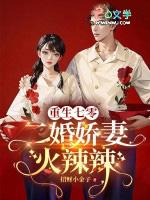 重生七零二婚军嫂