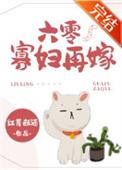 六零寡妇再嫁讲的什么故事