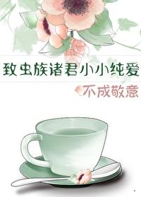 不成敬意作者夜听春雨