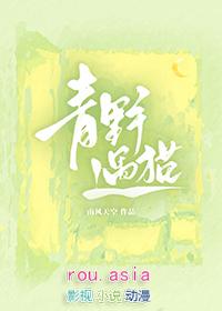 青野遇猫在线阅读