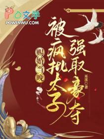 被疯批太子强取豪夺未删减