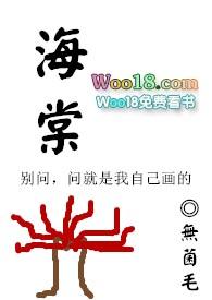 海棠镇消防宣传月活动走进社区