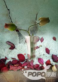 试管婴儿费用大概要多少钱