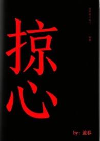 掠心佳人