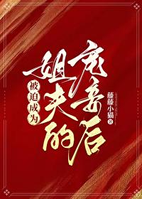 被迫成为姐夫的宠妾后免费全文