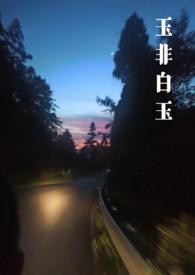 玉石非玉肉车