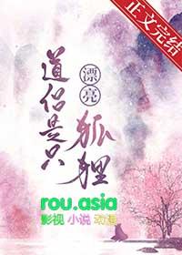 道侣是只漂亮狐狸TXT