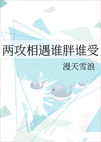 两攻相遇推文