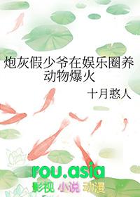 炮灰假少爷之后我惊呆了
