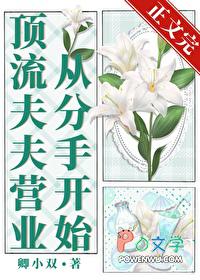 顶流夫妇晋江