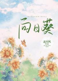 向日葵1月19日快速上涨