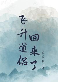 道友飞升