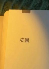 皮囊(出轨H)