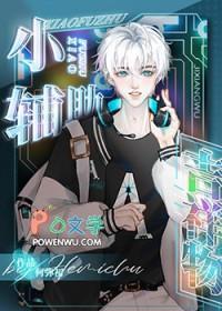 小辅助装是什么意思