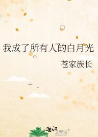 我成了所有大佬的白月光柳未觉