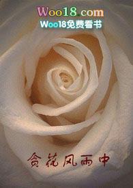 贪花风雨中第15章
