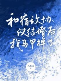 我马甲掉了番外