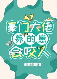 豪门大佬揣了我的崽后全文