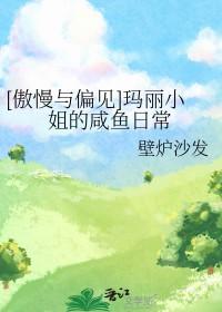 傲慢与偏见之玛丽的姻缘