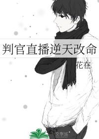 判官的系统