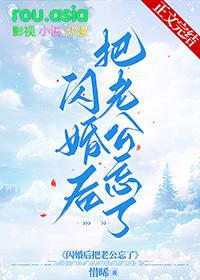 闪婚后把老公忘了by心淡岁清浅