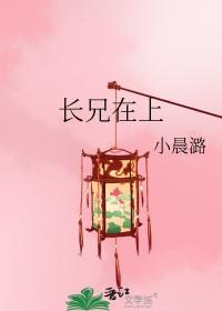 兄长在上 无防盗