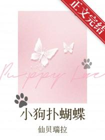 小狗扑蝴蝶讲的什么