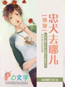 忠犬知乎