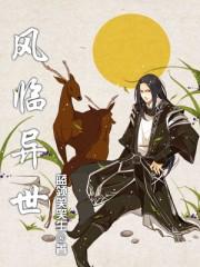 风临异世阅读