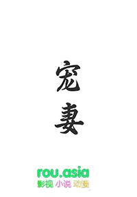 宠妻完结