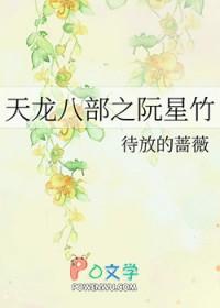 穿越天龙八部之阮星竹