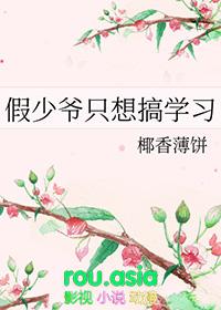 假少爷只想搞学习txt