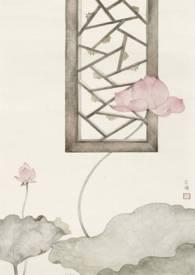 愿我如星君如月完整版