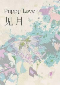 见月的诗句