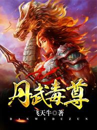 丹武毒尊动漫