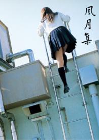 风月全文免费阅读晋江