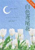 白色鸢尾花免费阅读