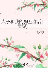 清穿太子
