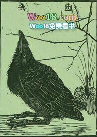 空壳胶囊哪里有卖