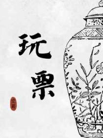 玩票by空菊讲的什么