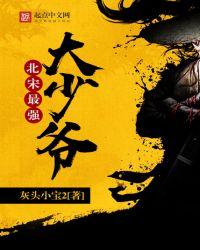 大宋最强大少爷 起点