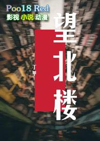 望北楼 赖小民