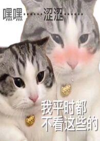 炉甘石的作用